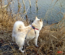 �~�q�̓��L