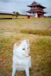 �~�q�̓��L