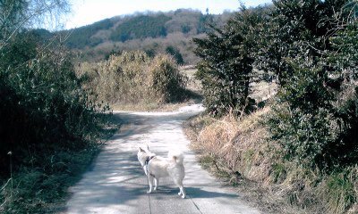 �~�q�̓��L