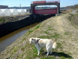 �~�q�̓��L