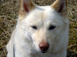 �~�q�̓��L