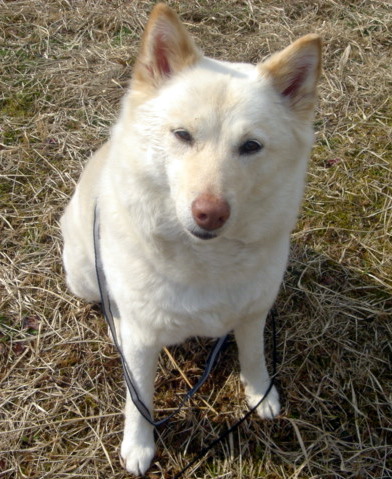 �~�q�̓��L