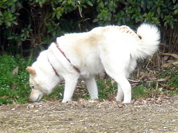 �~�q�̓��L