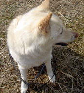 �~�q�̓��L