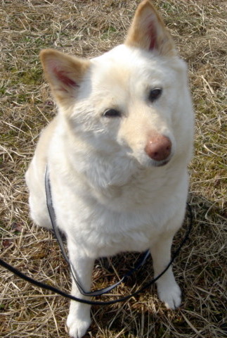 �~�q�̓��L