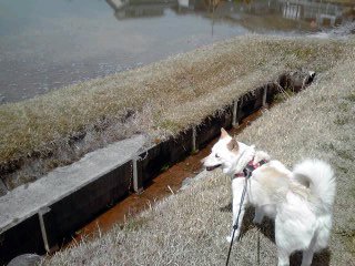 �~�q�̓��L