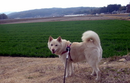 �~�q�̓��L