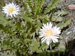 �~�q�̓��L