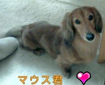 �~�q�̓��L