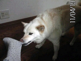 �~�q�̓��L