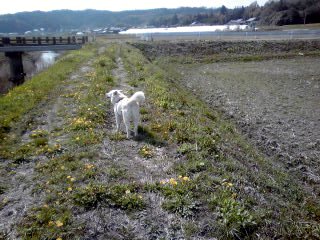 �~�q�̓��L