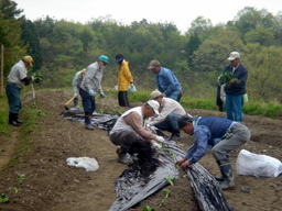 �~�q�̓��L