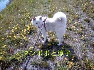 �~�q�̓��L