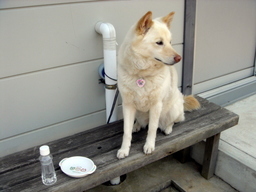 �~�q�̓��L