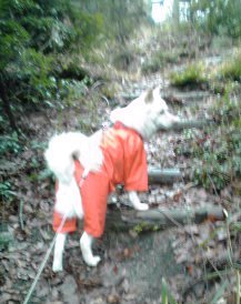 �~�q�̓��L