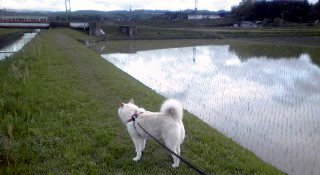 �~�q�̓��L