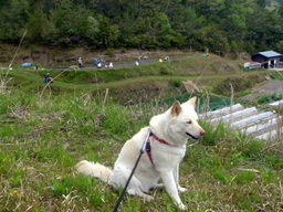 �~�q�̓��L