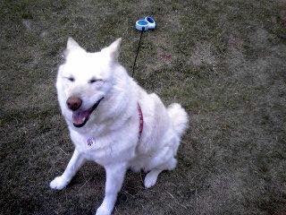 �~�q�̓��L