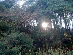 �~�q�̓��L