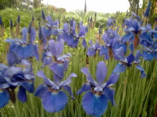 �~�q�̓��L