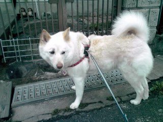 �~�q�̓��L