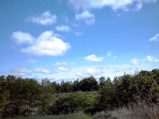 �~�q�̓��L