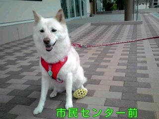 �~�q�̓��L