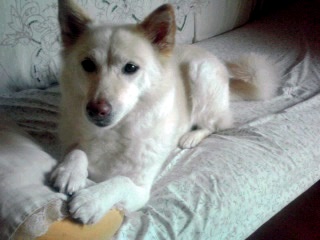 �~�q�̓��L