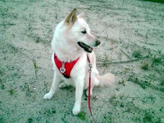 �~�q�̓��L