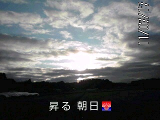 �~�q�̓��L