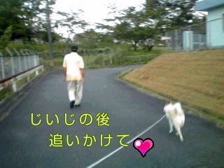 �~�q�̓��L