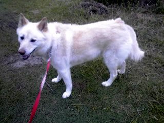 �~�q�̓��L