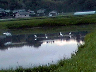 �~�q�̓��L