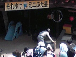 �~�q�̓��L