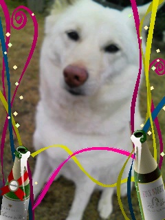 �~�q�̓��L