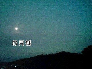 �~�q�̓��L