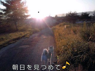 �~�q�̓��L