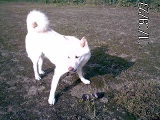 �~�q�̓��L