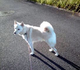 �~�q�̓��L