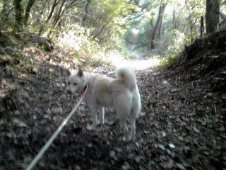 �~�q�̓��L