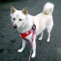 �~�q�̓��L