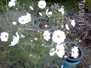 �~�q�̓��L