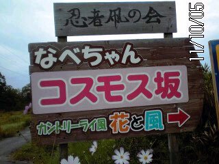 �~�q�̓��L