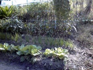 �~�q�̓��L