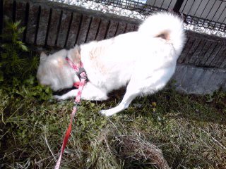 �~�q�̓��L