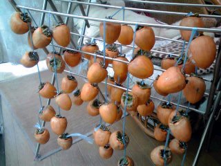 �~�q�̓��L