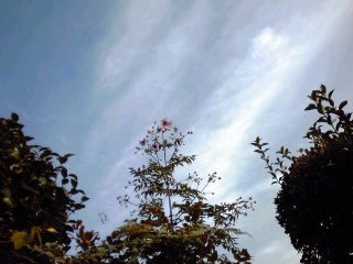 �~�q�̓��L