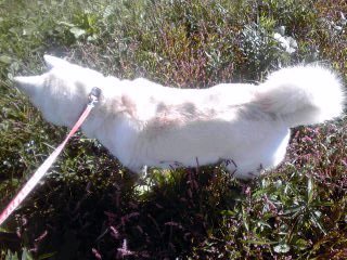 �~�q�̓��L