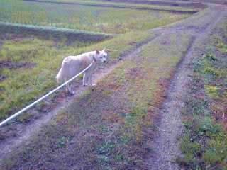 �~�q�̓��L