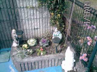 �~�q�̓��L